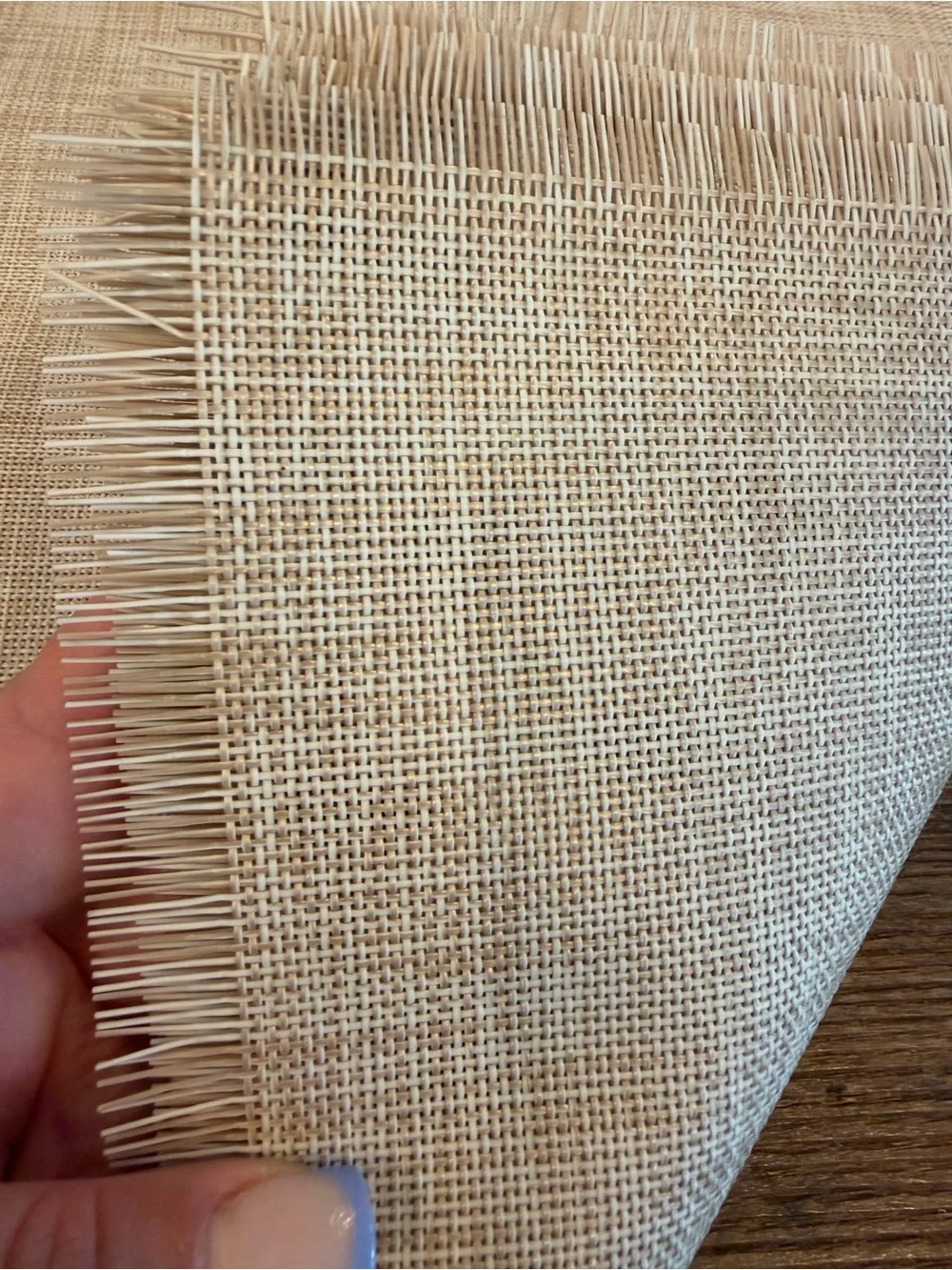 Neutral Beige Woven Placemats - Set of 4